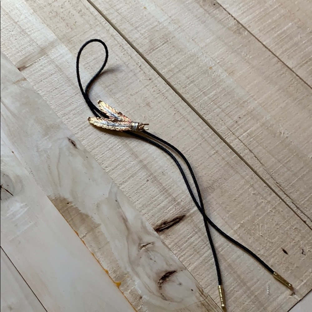*NEW* Gold tone Feathers Bolo Western Tie - Picture 2 of 4